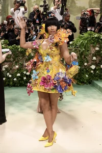 Met Gala 2024: Stars Shine in 'The Garden of Time' - image 3