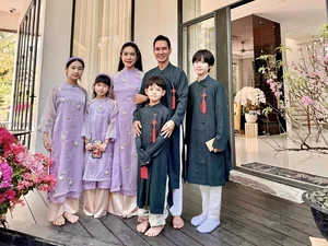 A Tale of Two Stars: The Contrasting Lifestyles of Tran Thanh and Ly Hai - image 8