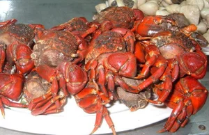 Discover 7 Must-Try Tra Vinh Specialties: From Hidden Gems to Culinary Wonders - image 5