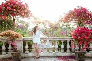 Best Travel Destinations in Northern Vietnam for Tet Holiday 2025 - image 4