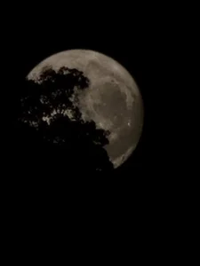 Capturing the Magic: Vietnam Celebrates the Largest and Brightest Supermoon of 2023 - image 4