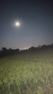 Capturing the Magic: Vietnam Celebrates the Largest and Brightest Supermoon of 2023 - image 31