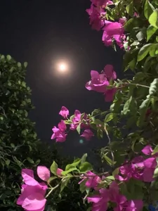 Capturing the Magic: Vietnam Celebrates the Largest and Brightest Supermoon of 2023 - image 11