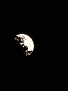 Capturing the Magic: Vietnam Celebrates the Largest and Brightest Supermoon of 2023 - image 16