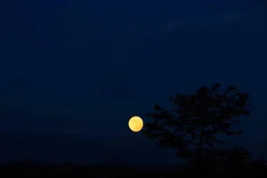 Capturing the Magic: Vietnam Celebrates the Largest and Brightest Supermoon of 2023 - image 10