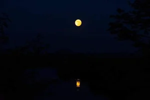 Capturing the Magic: Vietnam Celebrates the Largest and Brightest Supermoon of 2023 - image 2