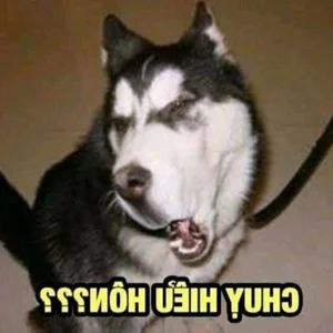 160+ Hilarious Memes of the Year: The Ultimate Funny Reaction Images - image 11