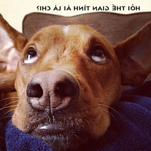 160+ Hilarious Memes of the Year: The Ultimate Funny Reaction Images - image 6
