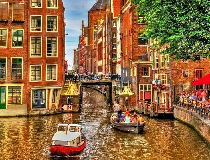 Exploring the Enchanting Landscapes of the World's Most Bicycle-Friendly City