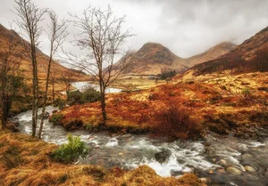 Autumn in Europe: 10 Enchanting Destinations for Fall Foliage and Cozy Vibes - image 3
