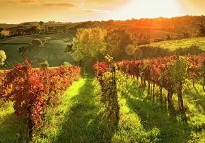 Autumn in Europe: 10 Enchanting Destinations for Fall Foliage and Cozy Vibes - image 5