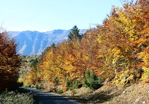 Autumn in Europe: 10 Enchanting Destinations for Fall Foliage and Cozy Vibes - image 6