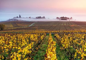 Autumn in Europe: 10 Enchanting Destinations for Fall Foliage and Cozy Vibes - image 2