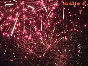 Spectacular Displays at Da Nang International Fireworks Festival 2024: Vietnam Home Team Shines with Improved Artistry and Performance - image 6