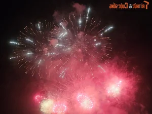 Spectacular Displays at Da Nang International Fireworks Festival 2024: Vietnam Home Team Shines with Improved Artistry and Performance - image 10