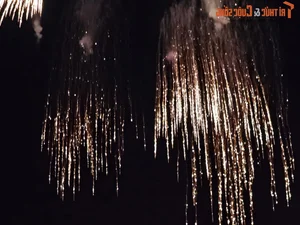 Spectacular Displays at Da Nang International Fireworks Festival 2024: Vietnam Home Team Shines with Improved Artistry and Performance - image 1