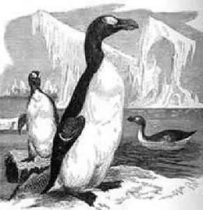 Top Famous Extinct Animals the World Has Lost Forever and Their History - image 6
