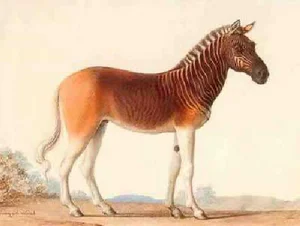 Top Famous Extinct Animals the World Has Lost Forever and Their History - image 1