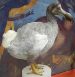 Top Famous Extinct Animals the World Has Lost Forever and Their History - image 4