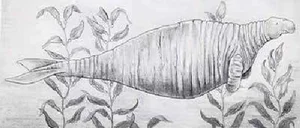 Top Famous Extinct Animals the World Has Lost Forever and Their History - image 5