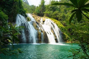 Discover 7 Must-Visit Trending Travel Spots in Quang Tri Vietnam - image 4