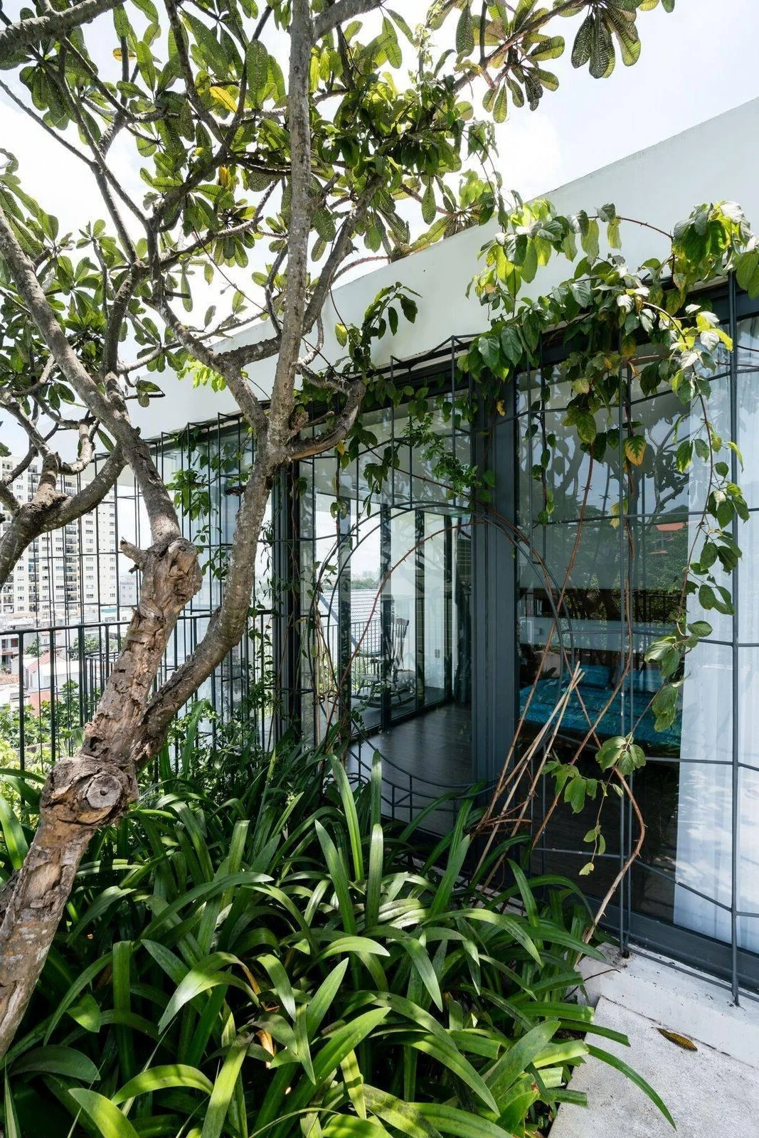 VIBA House: A Stunning Mountainside Retreat Overlooking the Sea in Vung Tau