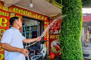 Discovering the Most Unique Ancient Sanh Bonsai Tree in Vietnam - image 2