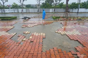 Coastal Destruction: Aftermath of Storm Trami on Vietnam's Coastal Roads - image 1