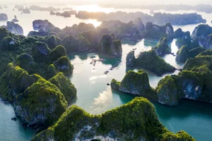 Quang Ninh Travel Guide 2024: Top 28 Must-Try Experiences in Vietnam - image 11