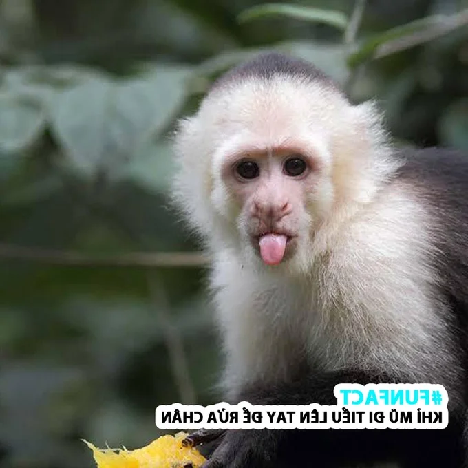 10 Incredible Animal Facts That Will Surprise You