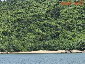 Discover Golden Sand Beach: A Pristine Paradise Under Monkey Mountain - image 4