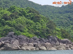 Discover Golden Sand Beach: A Pristine Paradise Under Monkey Mountain - image 14