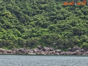 Discover Golden Sand Beach: A Pristine Paradise Under Monkey Mountain - image 13