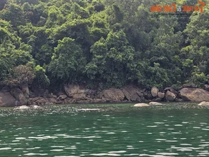Discover Golden Sand Beach: A Pristine Paradise Under Monkey Mountain - image 3