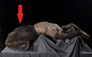 Ancient Fingerprints Found on Terracotta Army Statues Reveal Secrets - image 1