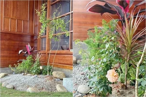 Inside MC Dai Nghia’s Stunning New House Surrounded by Nature and Flowers - image 5