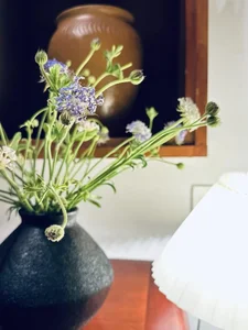 Inside MC Dai Nghia’s Stunning New House Surrounded by Nature and Flowers - image 7