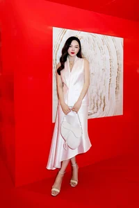 Minh Hang Postpartum Return: Celebrating Motherhood and Star Power - image 7