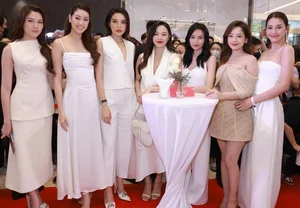 Minh Hang Postpartum Return: Celebrating Motherhood and Star Power - image 6