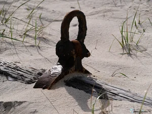 The Haunting Secrets of the Island Known as the Shipwreck Graveyard - image 6