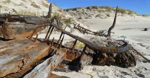 The Haunting Secrets of the Island Known as the Shipwreck Graveyard - image 3