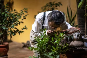 Ancient Hanoi Lifestyle Tour: Experiencing Tradition in the Heart of the Old Quarter - image 0