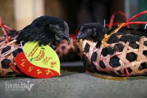The Mysterious Yin-Yang Market: A Midnight Spiritual Tradition in Bac Ninh - image 0