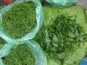 From Forgotten Weed to Luxury Delicacy: The Rise of Vietnam's Highly Sought-After Wild Vegetable - image 6