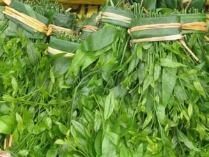 From Forgotten Weed to Luxury Delicacy: The Rise of Vietnam's Highly Sought-After Wild Vegetable - image 11
