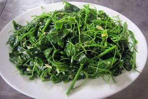 From Forgotten Weed to Luxury Delicacy: The Rise of Vietnam's Highly Sought-After Wild Vegetable - image 7