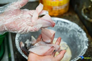 Authentic Hai Phong Spicy Fish Noodle Soup: Serving 800 Bowls Daily - image 0