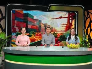 Vietnamese Showbiz Updates: Quang Le Mourns Mother, Diva Hong Nhung's Latest Appearance - image 2