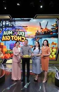 Vietnamese Showbiz Updates: Quang Le Mourns Mother, Diva Hong Nhung's Latest Appearance - image 1