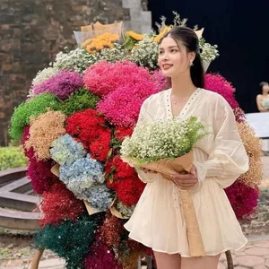Romantic Proposal: The Stunning Beauty Who Won the Heart of Quang Nam FC's Head Coach - image 5
